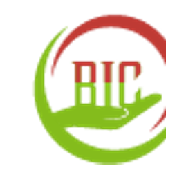 BIC Non Vie S.A. logo